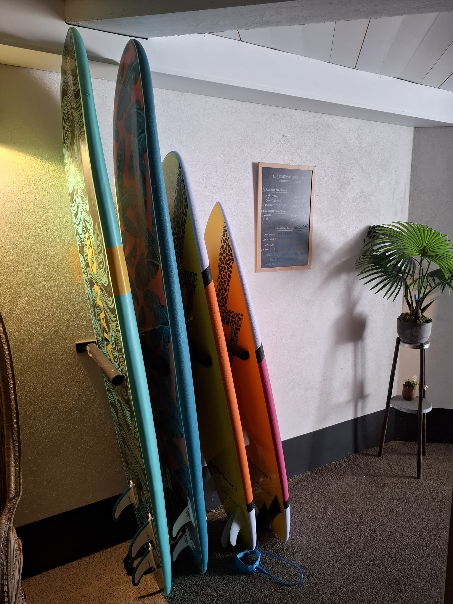 Sélection de planches de surf colorées disponibles à la location